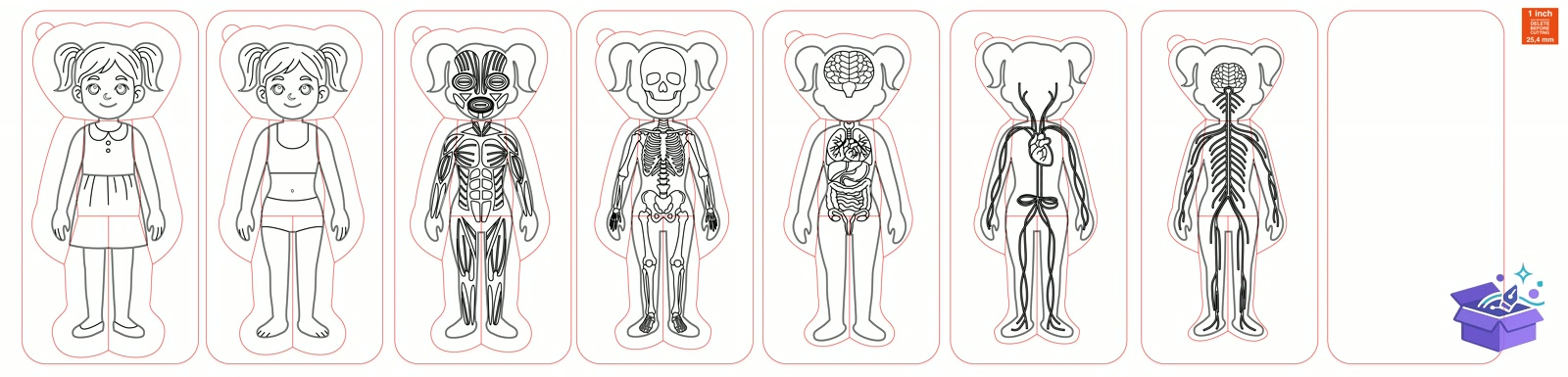 Human Body Organs Ahşap Yapboz Lazer Kesim CNC - Tasarım Çizim Dosyası (SVG, DXF, EPS, PNG) - Lazer Kesim Dosyaları İndir (STL, 3MF, DXF)