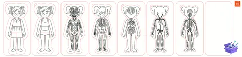 Human Body Organs Ahşap Yapboz Lazer Kesim CNC - Tasarım Çizim Dosyası (SVG, DXF, EPS, PNG) - Lazer Kesim Dosyaları İndir (STL, 3MF, DXF)