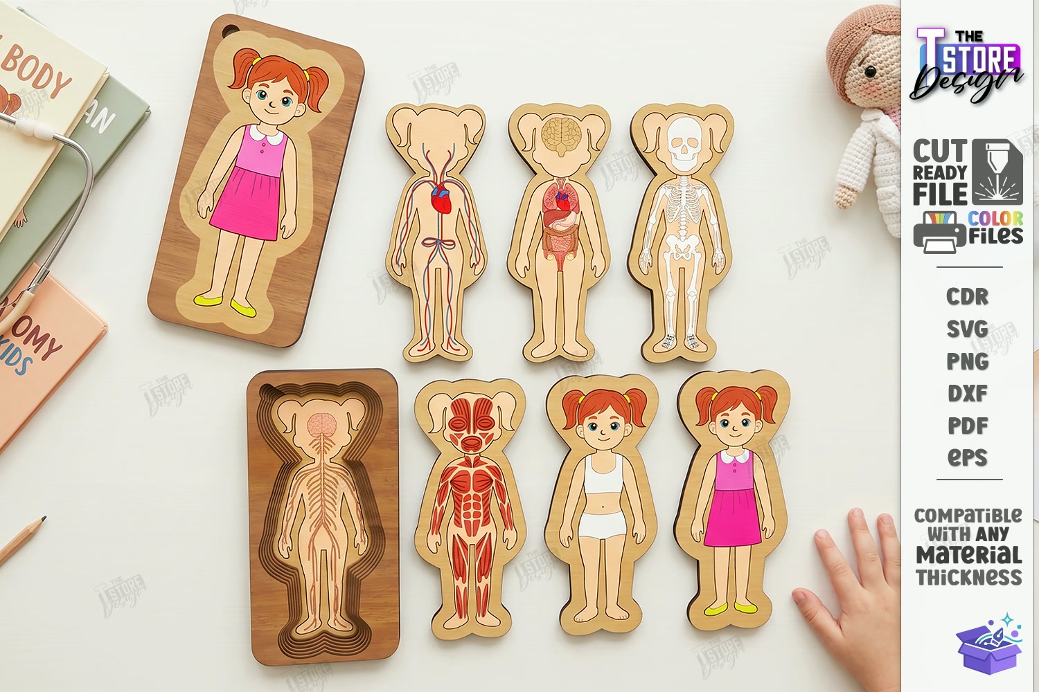 Human Body Organs Ahşap Yapboz Lazer Kesim CNC - Tasarım Çizim Dosyası (SVG, DXF, EPS, PNG) önizleme 2
