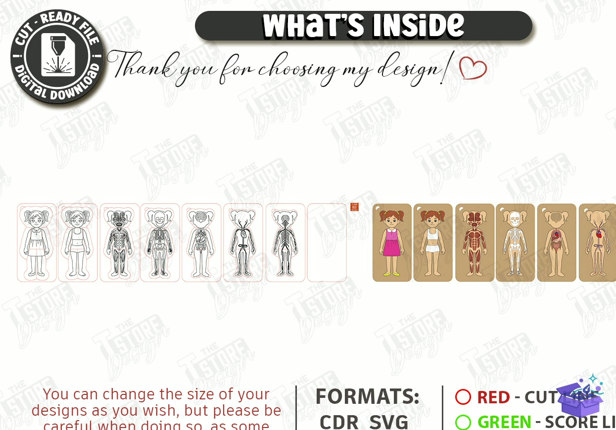 Human Body Organs Ahşap Yapboz Lazer Kesim CNC - Tasarım Çizim Dosyası (SVG, DXF, EPS, PNG) önizleme 6