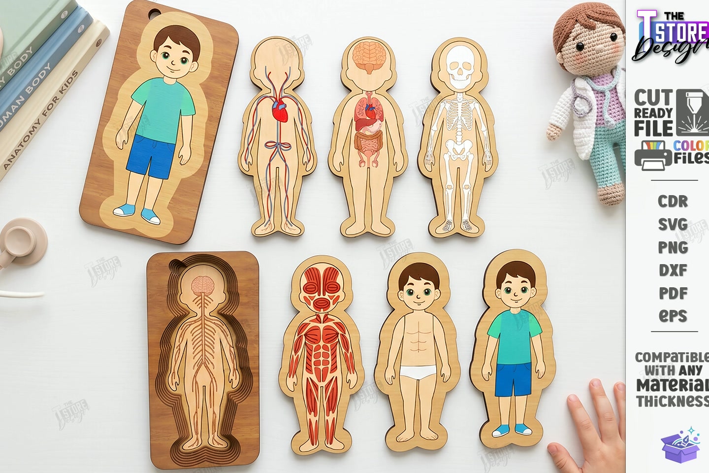 Human Body Organs Ahşap Yapboz Lazer Kesim CNC - 3D Baskı ve Model Dosyası (STL, OBJ, 3MF) - Lazer Kesim Dosyaları İndir (STL, OBJ, 3MF)