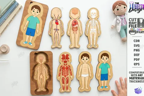 Human Body Organs Ahşap Yapboz Lazer Kesim CNC - 3D Baskı ve Model Dosyası (STL, OBJ, 3MF) - Lazer Kesim Dosyaları İndir (STL, OBJ, 3MF)
