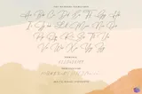 Signature Düğün ve Nişan - Yazı Tipi & Font Paketi (OTF) - detaylı önizleme 6