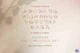 Royal Düğün ve Nişan - Yazı Tipi & Font Paketi (OTF, TTF) - detaylı önizleme 4