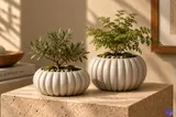 Nervürlü Balkabağı Saksı (3 Tasarım) - 3D Baskı ve Model Dosyası (STL) - detaylı önizleme 5