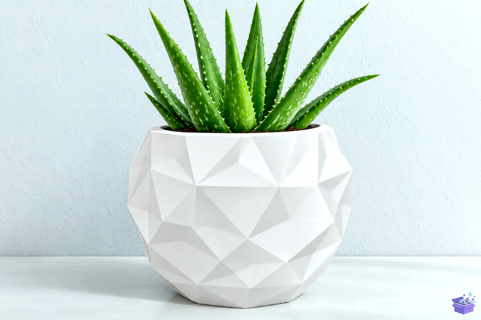 Geometric Succulent Saksı Tasarımı STL 3D Baskı - 3D Baskı ve Model Dosyası (STL, OBJ, 3MF) - detaylı önizleme 2