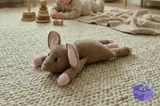 Sleepy Mouse Snuggler Crochet Desen - El İşi ve Kesim Dosyası (SVG, DXF, EPS, PNG) - detaylı önizleme 2